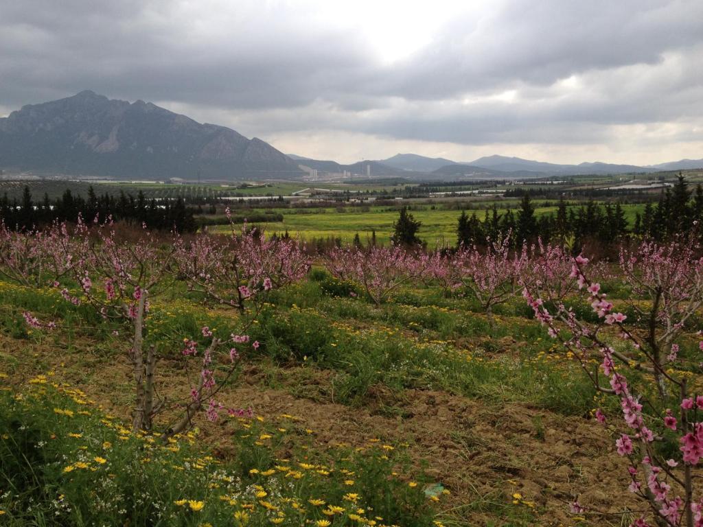 MornagDar Salima住宿加早餐旅馆 外观 照片